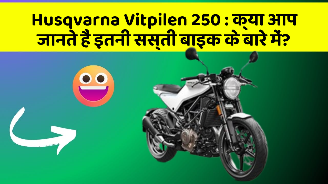 Husqvarna Vitpilen 250: क्या आप जानते हैं इतनी सस्ती बाइक के बारे में?